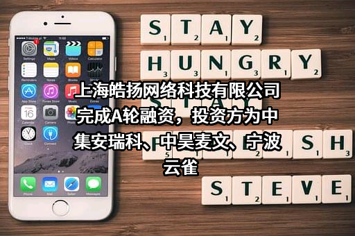 上海皓扬网络科技有限公司