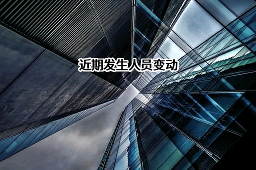 广东老妈子食品有限公司
