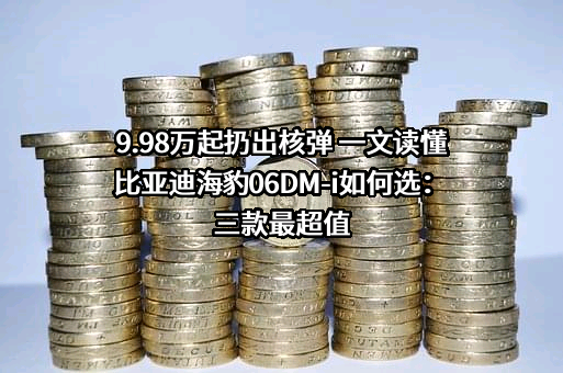 比亚迪股份有限公司