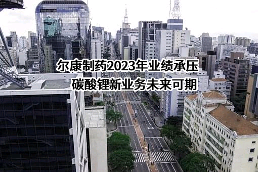 湖南尔康制药股份有限公司