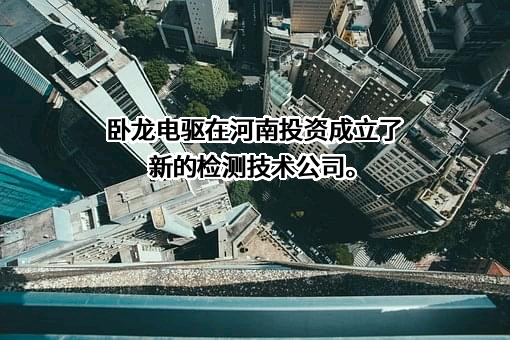 卧龙电气驱动集团股份有限公司