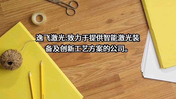 武汉逸飞激光股份有限公司