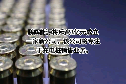 广州鹏辉能源科技股份有限公司