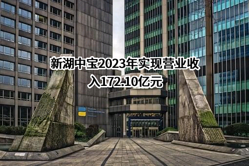 新湖中宝股份有限公司