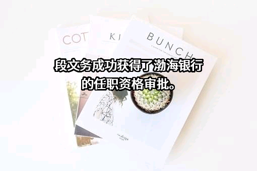 渤海银行股份有限公司
