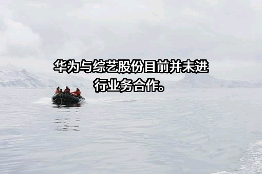 华为技术有限公司