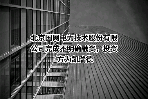 北京国网电力技术股份有限公司