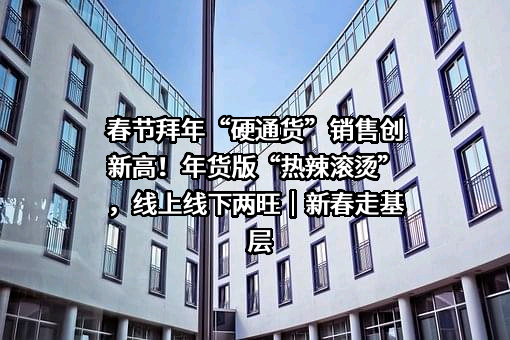 良品铺子股份有限公司