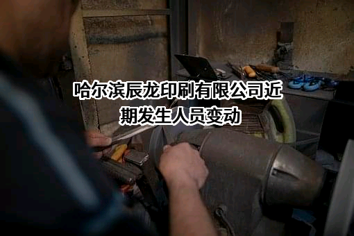 哈尔滨辰龙印刷有限公司