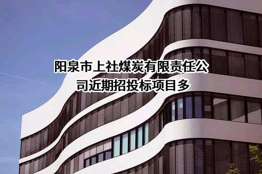 阳泉市上社煤炭有限责任公司