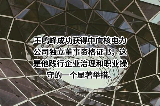 中国广核电力股份有限公司