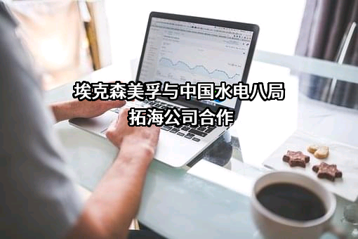 中电建（湖南）拓海实业有限公司