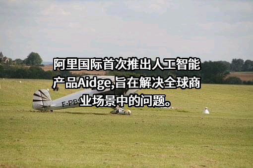 阿里国际文化发展有限公司