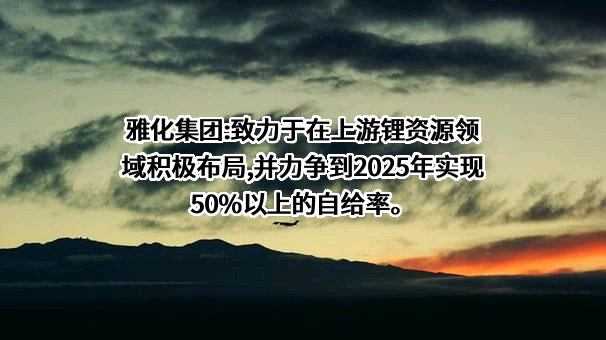 四川雅化实业集团股份有限公司