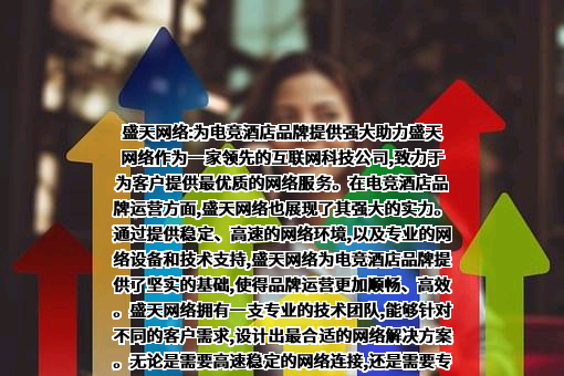 湖北盛天网络技术股份有限公司