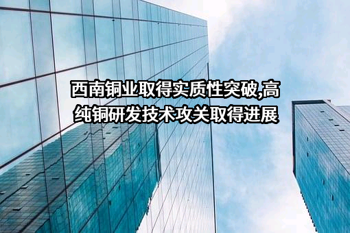 四川西南铜业有限公司