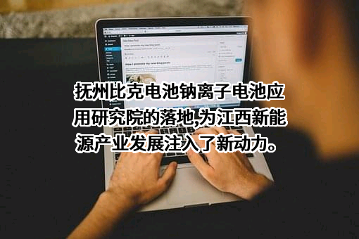 抚州比克电池有限公司