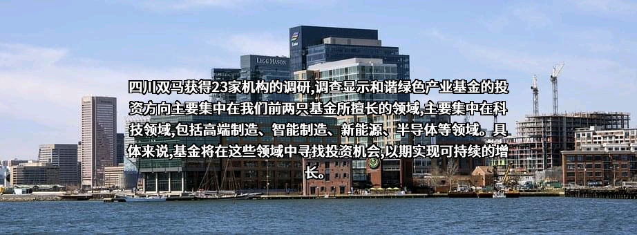 四川和谐双马股份有限公司