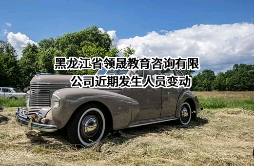 黑龙江省领晟教育咨询有限公司