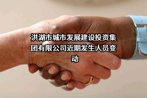 洪湖市城市发展建设投资集团有限公司