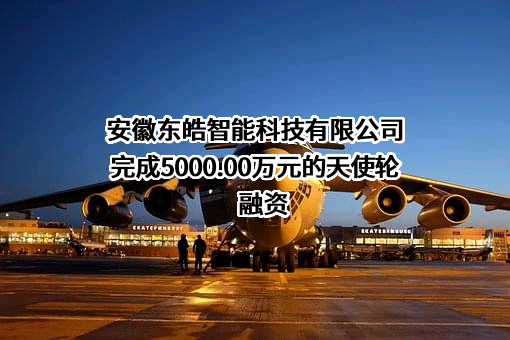 安徽东皓智能科技有限公司