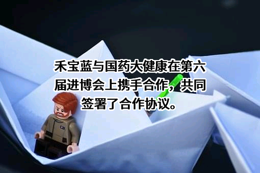 国药大健康产业（海南）有限公司