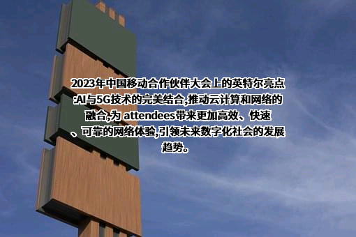 英特尔（中国）有限公司