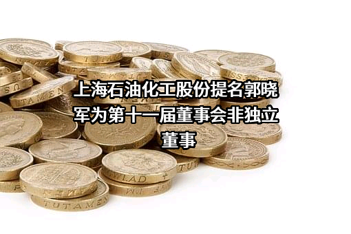 中国石化上海石油化工股份有限公司