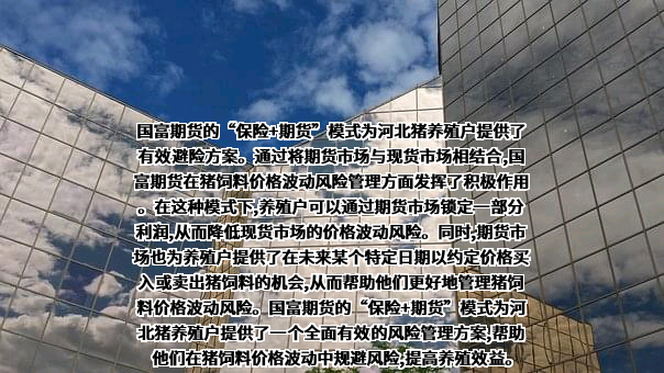 国富期货有限公司