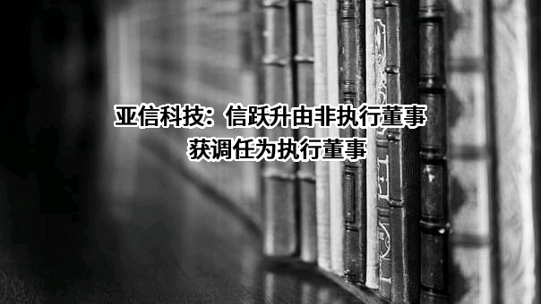 亚信科技控股有限公司