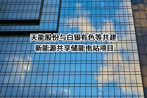 天能电池集团股份有限公司