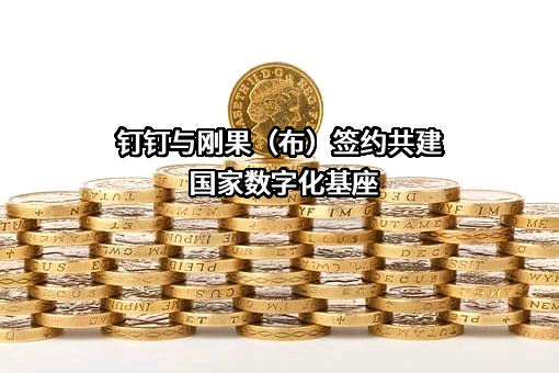 钉钉科技有限公司