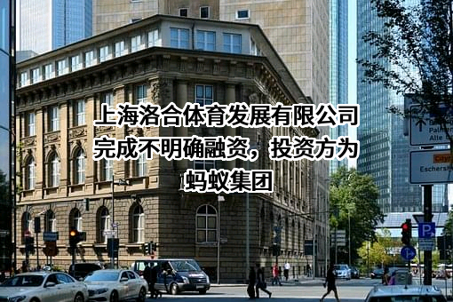 上海洛合体育发展有限公司