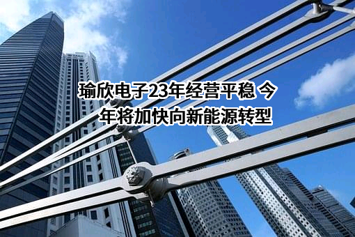 重庆瑜欣平瑞电子股份有限公司