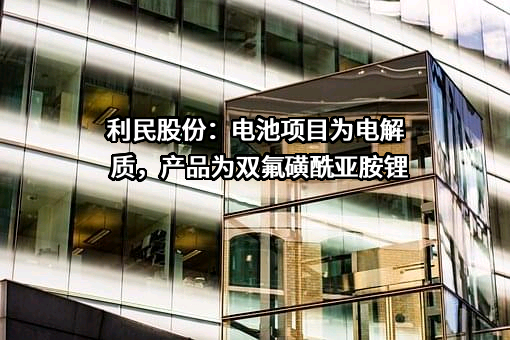 利民控股集团股份有限公司