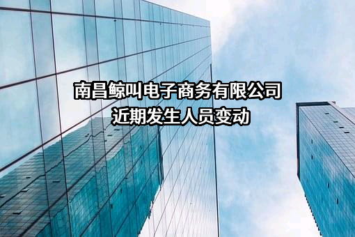 南昌鲸叫电子商务有限公司