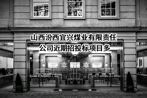 山西汾西宜兴煤业有限责任公司