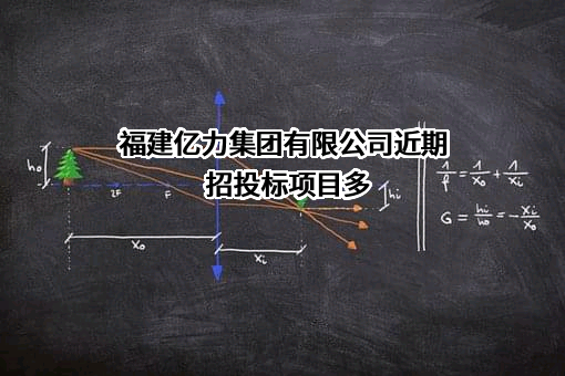 福建亿力集团有限公司近期招投标项目多