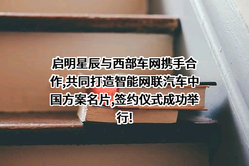 西部车网（重庆）有限公司