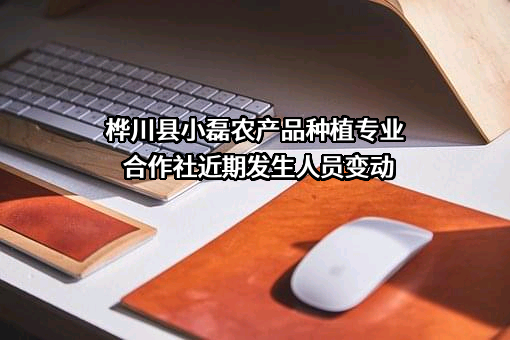 桦川县小磊农产品种植专业合作社