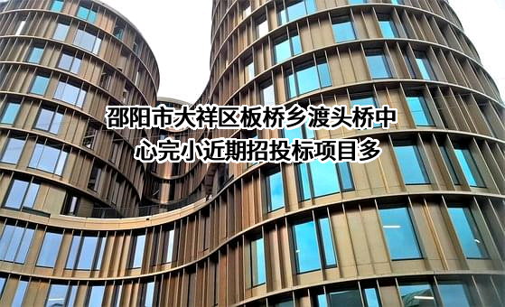 邵阳市大祥区板桥乡渡头桥中心完小近期招投标项目多