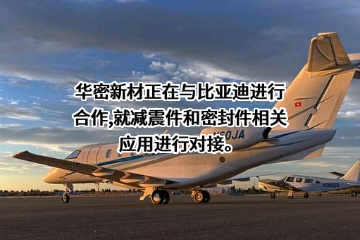 比亚迪股份有限公司