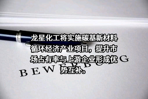 龙星化工股份有限公司