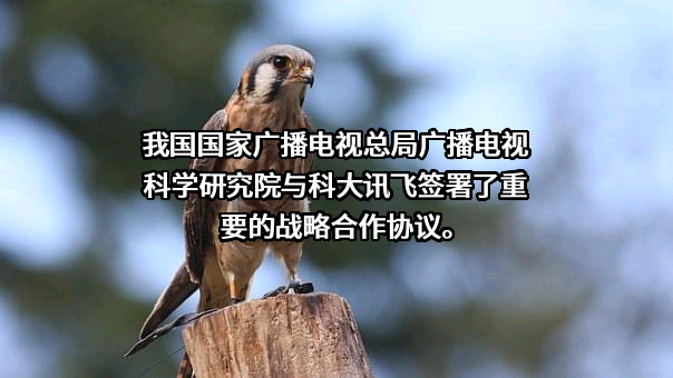 科大讯飞股份有限公司