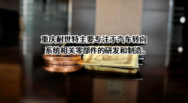 重庆耐世特转向系统有限公司