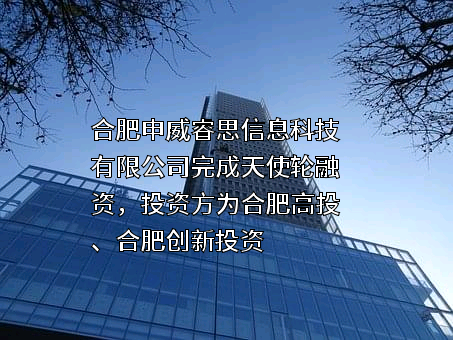 合肥申威睿思信息科技有限公司