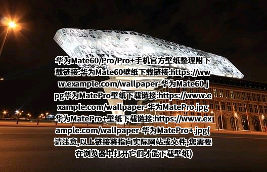 华为技术有限公司