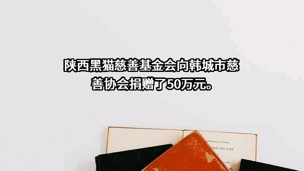 陕西黑猫焦化股份有限公司
