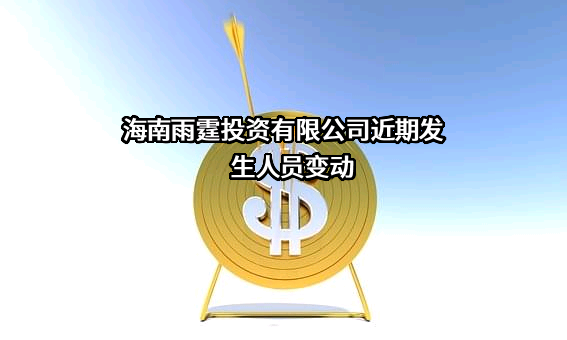 海南雨霆投资有限公司