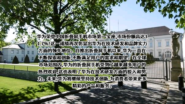 华为技术有限公司